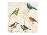 Birds Collection -  Luncheon Paper Napkins
