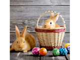 Luncheon Paper Napkins - Twilight Collection - Bunny in a Basket