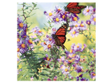 Papillons -  Luncheon Paper Napkins