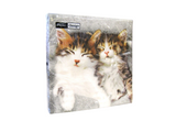 Luncheon Paper Napkins - Paper+Design - Sleepy Cats