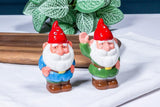 Garden Gnomes Salt & Pepper Shakers