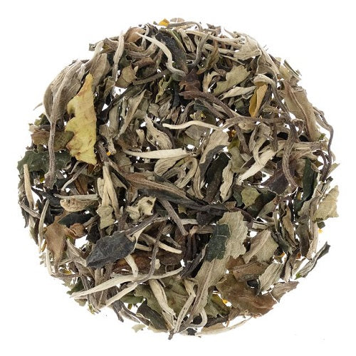 Metropolitan Tea Company Pai Mu Tan White Tea