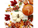 Luncheon Paper Napkins - Twilight Collection - Pumpkins & Leaves