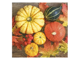 Luncheon Paper Napkins - Twilight Collection - Pumpkin Collection