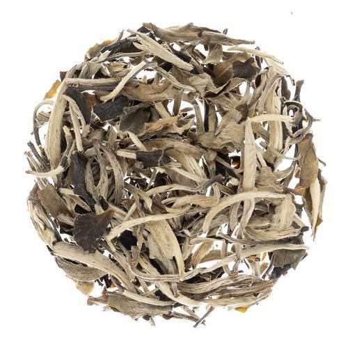 Metropolitan Tea Company Sliver Moonlight Wild White Tea