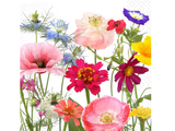 Luncheon Paper Napkins - Paper+Design - Wildflower Garden